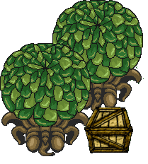 Trees-n-Crate!